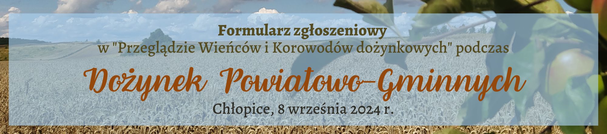 Formularz zgłoszeniowy