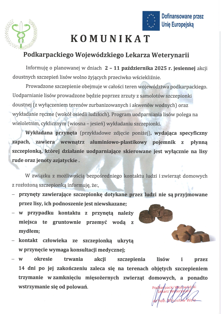 ogłoszenie lisy2