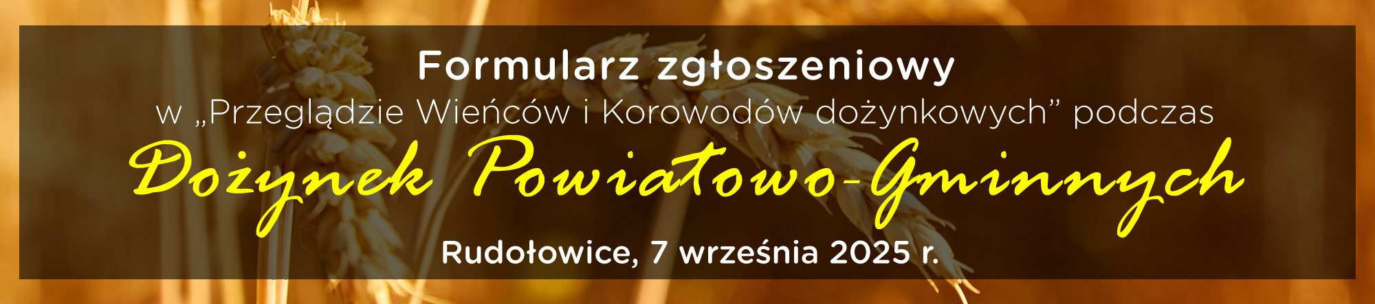 formularz_zgloszeniowy.jpg