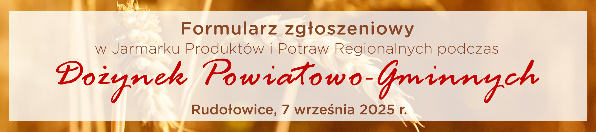 formularz_zgloszeniowy_wystawcy_druga_wersja.jpg